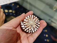 -青岛贝壳博物馆