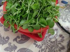 -扎佐老牌蹄膀·猪脚