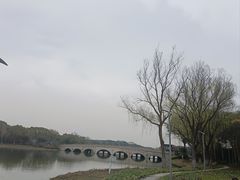 -昆山城市生态森林公园