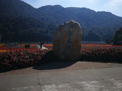 -广州市石门国家森林公园