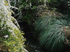 -中国茶叶博物馆(双峰馆区)