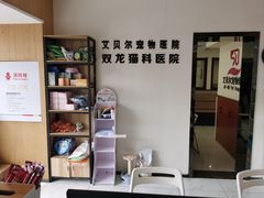 -艾贝尔宠物医院·24H转诊中心·肿瘤猫专科(江宁双龙店)
