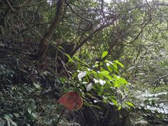 -黄金沟旅游风景区