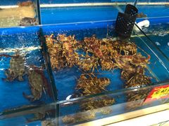 -黄寺蒸汽海鲜(黄寺大街店)