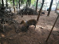 -昆明动物园