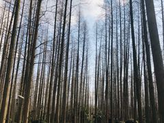 -上海怡沁园度假酒店