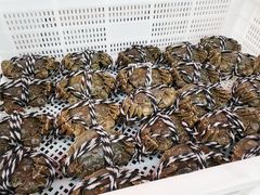 -涵家味土菜馆·徽州一绝臭鳜鱼(三河古镇店)