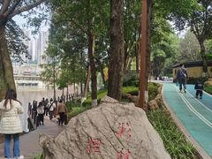 -重庆彩云湖湿地公园