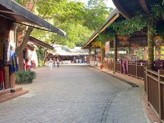 -西双版纳原始森林公园