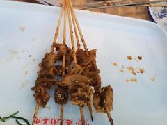 -红柳枝滩羊烧烤·银川非遗