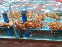 -阿伟海鲜楼·福建菜(延寿店)