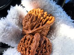 -延庆地质公园博物馆