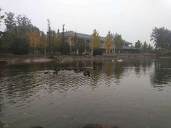 -中家鑫园温泉酒店鑫悦汤泉