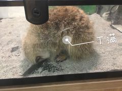 -藦茜花园宠物主题亲子互动体验馆(国顺东路店)