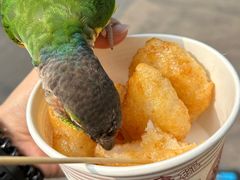 -老头子糖油粑粑(麓山南路店)