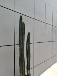 -无界瑜伽普拉提