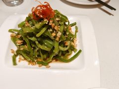 椒麻贡菜-煲煲好(朝阳门店)
