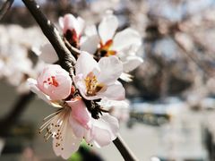 -奥体中心(地铁站)