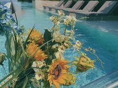 -瑰丽酒店·海吧·天际下午茶·现场DJ·天台酒吧