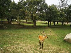 -西安秦岭野生动物园