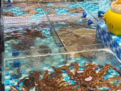 -映像威海·海鲜味道(市区店)
