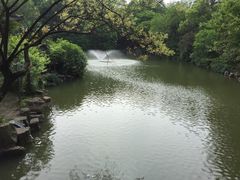 -大明寺素斋