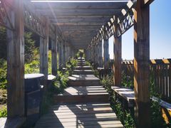 -白草畔自然风景区