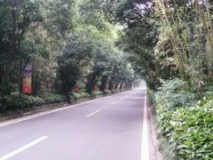 -南京东郊国宾馆