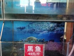 水产区-七裕庄(凯旋南路店)
