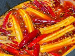 -阳阳老火锅(小南门店)