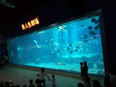 -福州罗源湾海洋世界旅游区
