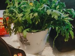 -钢管厂五区小郡肝串串香(南山店)