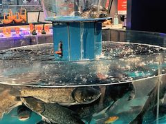 -魏铭鱼头捞饭(晋阳路店)