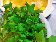 西洋菜-風林火山烤室·涮肉