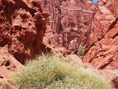 -天山神秘大峡谷