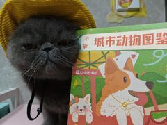-瑞虹新天地月亮湾