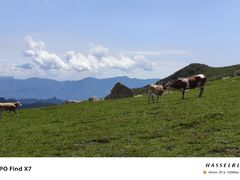 -灵山