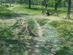 -西安秦岭野生动物园