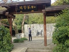 -白马涧龙池景区