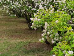 -长春公园(普阳街道)