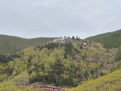 -五台山圆照寺
