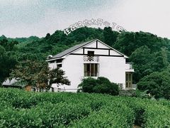 -龙井村