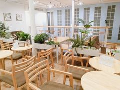 -猫的天空之城概念书店(苏州平江店)