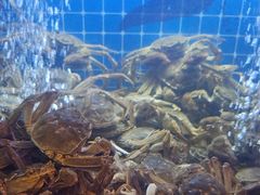 -福禧荟·海鲜自助