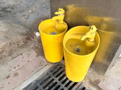 -大兴滨河森林公园