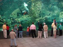-西雅图水族馆