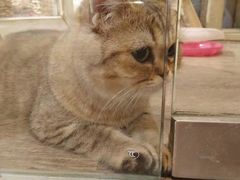 -小时光咖啡馆(开森度假森林店)