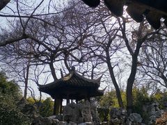 -艺圃