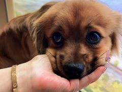 -厦门途易蓝罗约海景温泉酒店(园博苑地铁站店)