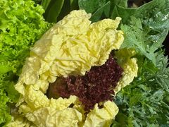 -草原塞蛮羊火锅城(港湾店)